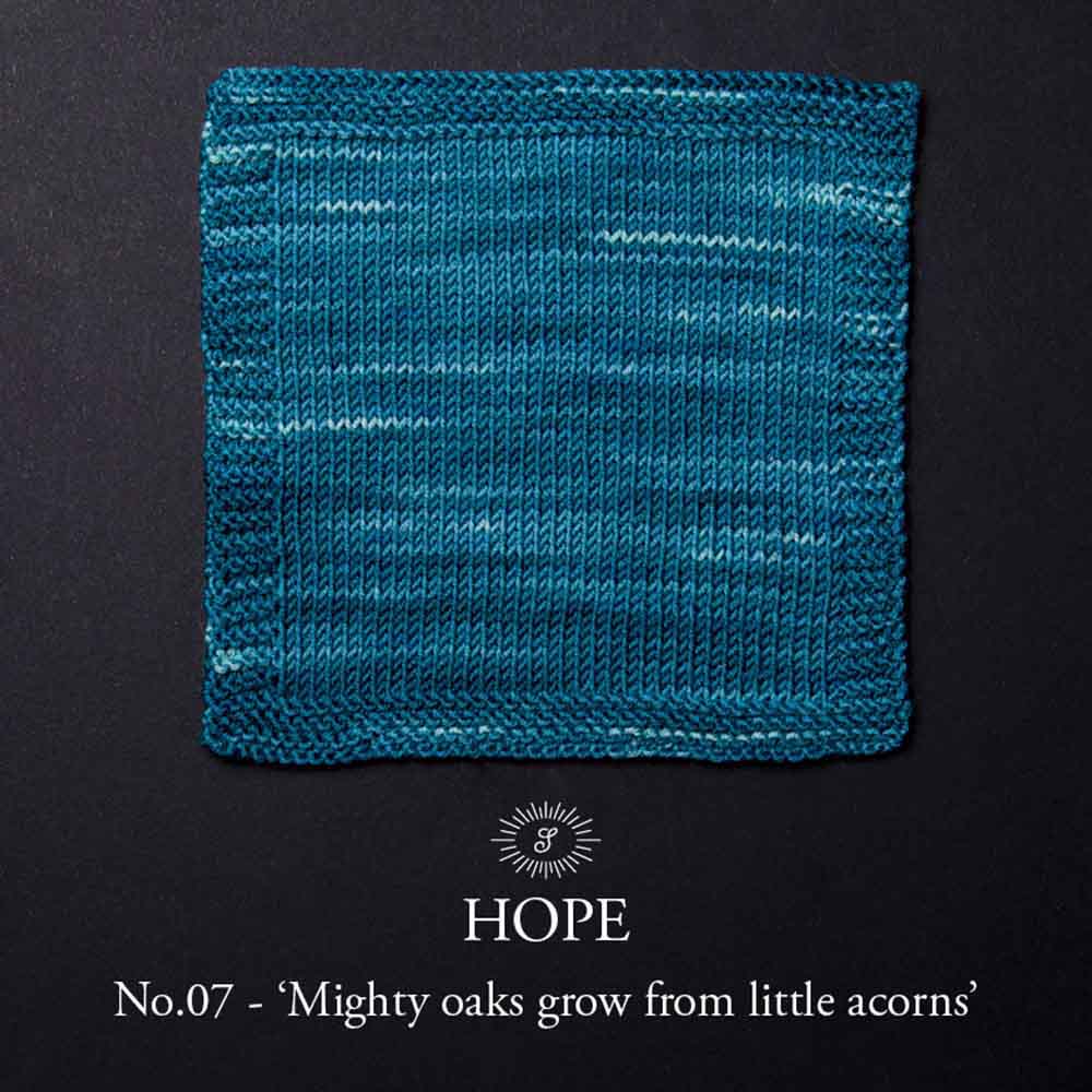 Simy's Hope SOCK 100g - 07 Mighty oaks grow from little