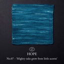Simy's Hope SOCK 100g - 07 Mighty oaks grow from little