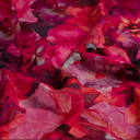 Viscose Ecovero Twill Flowers Cyclam