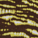 Velvet Satin Streaky Brown/Kiwi