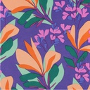 Rosella Str. Spring Garden Nerida Hansen Apricot