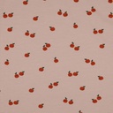 Jersey Bio Apples Old Rose