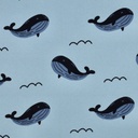 Jogging Whales Blue