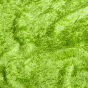 Crushed Velours Licht Groen