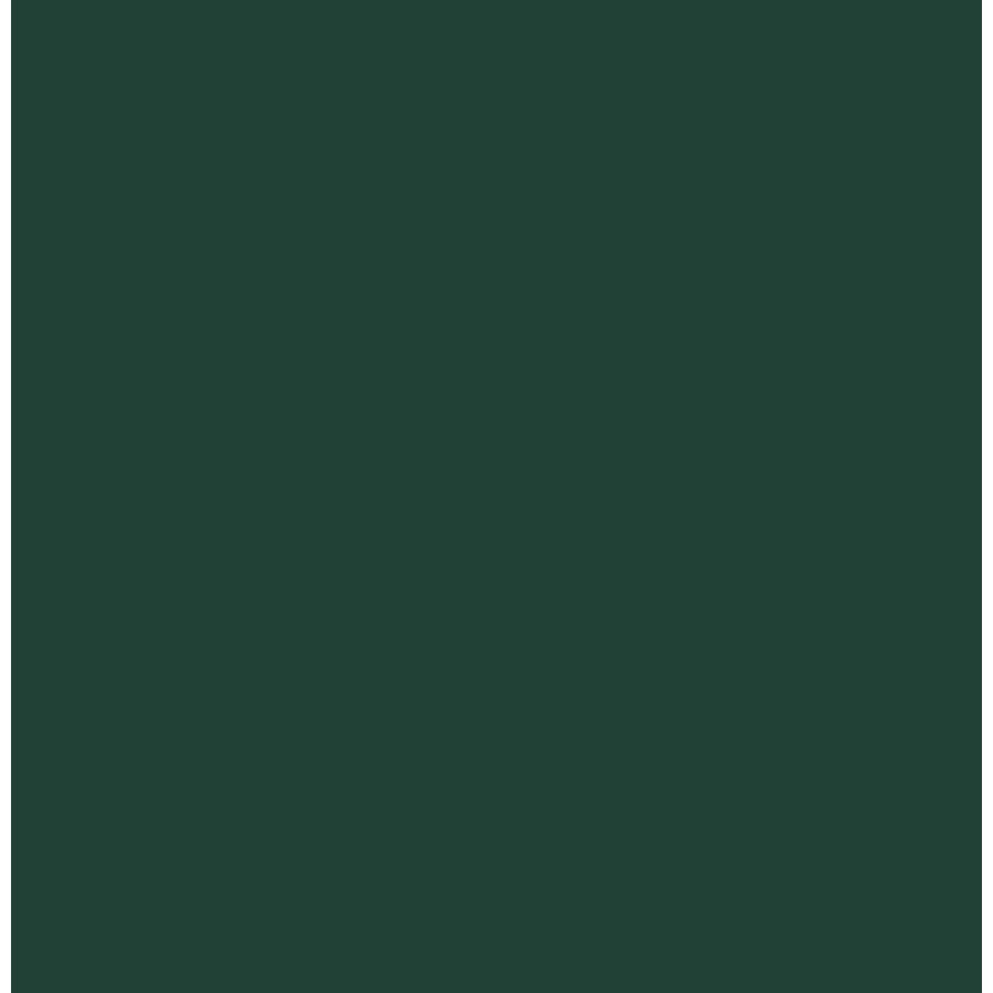 Flexfolie Siser easyweed Dark green 21cm x 30cm