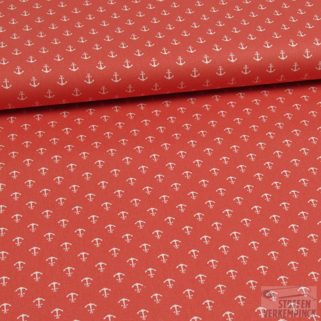 Petit Anchor Coral