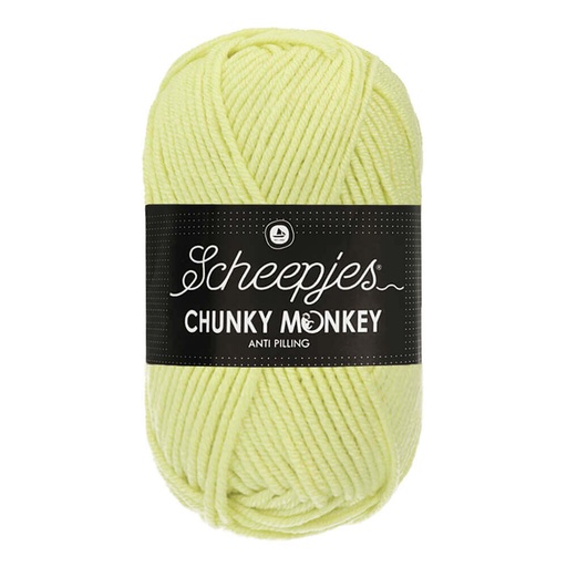 [DBF-1716-1020] Scheepjes Chunky Monkey 100g - 1020 Mint