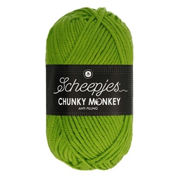 [DBF-1716-2016] Scheepjes Chunky Monkey 100g - 2016 Fern