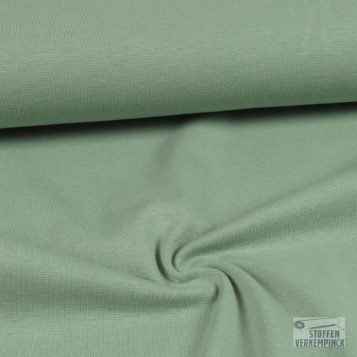 [QT-RS0220-210] Boordstof Dusty Mint