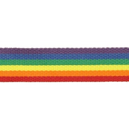 [DI-F409.30-999] Tassenband 30mm Regenboog Paars/Rood