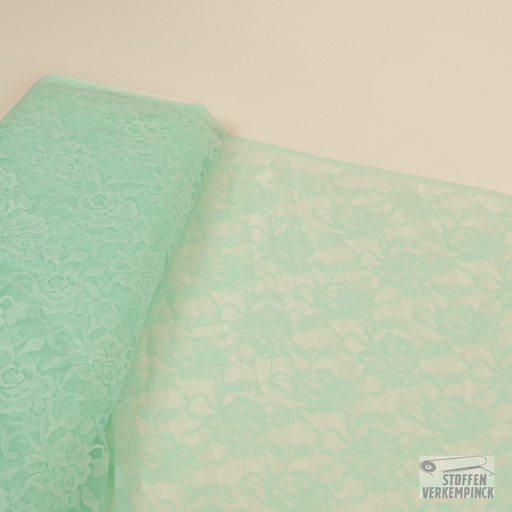 [CI-PIZZO EL. DAISY-259] Elastische kant Mint
