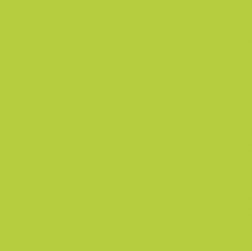 [NO-23870-023] Swimshort Water Repellent Lime