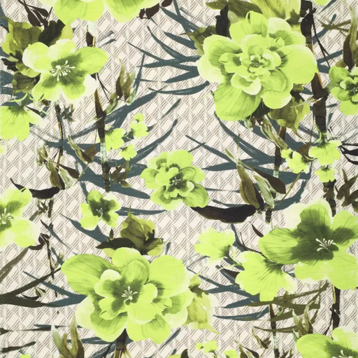 [KI-22561-315] Viscose/Pa Barki Capri Lime