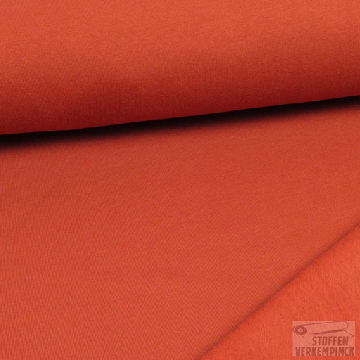 [QT-RS0202-370] French Terry Brushed Terra