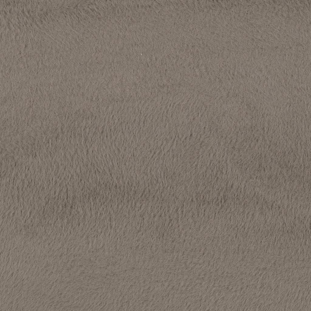 Coat Fur Sand