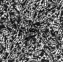 Velvet Satin Paisley Black