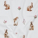 Jersey Digital Rabbits White