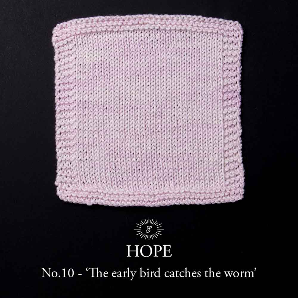 Simy's Hope DK 100g - 10 The early bird catches the worm