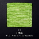 Simy's Hope DK 100g - 15 While there's life, there's hope