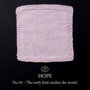 Simy's Hope SOCK 100g - 10 The early bird catches the worm