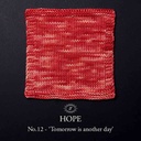Simy's Hope SOCK 100g - 12 Tomorrow is another day
