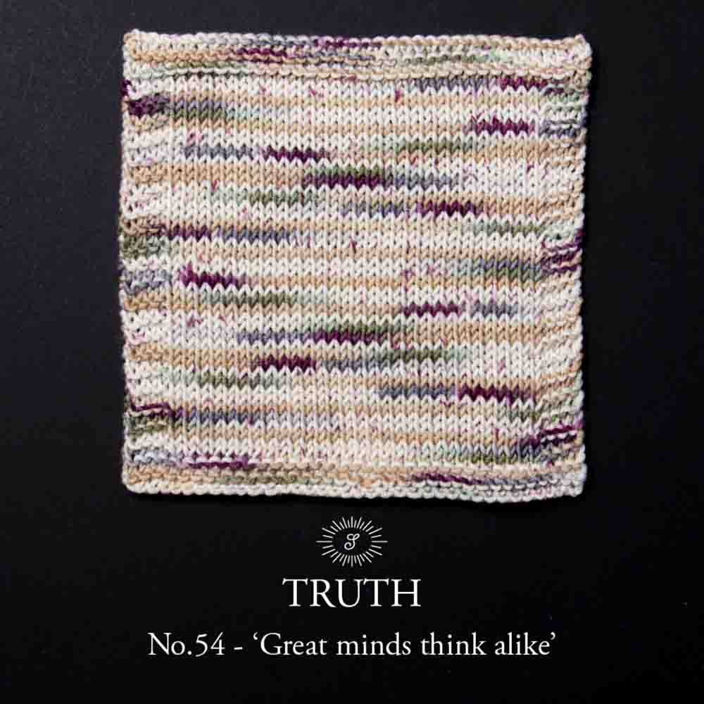 Simy's Truth SOCK 100g - 54 Great minds think alike