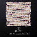 Simy's Truth SOCK 100g - 54 Great minds think alike