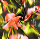 Visco. Satin Digital Batikflower Orange