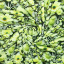 Viscose Jersey 3D Flowers Green