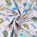 Jersey Paw Patrol Grey