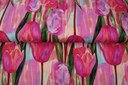 Jersey Viscose Fuchsia Tulips