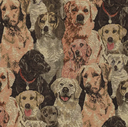 Gobelin Dogs 