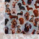 Alpenfleece Digital Dachshund Brown