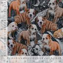 Alpenfleece Digital Bulldog Puppy Anthracite