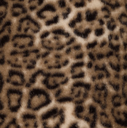 Namaakbont Cavallo Leopard Brown