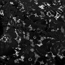 Kant Polyamide/Katoen Black