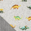 Alpenfleece Digital Dino Club Grey