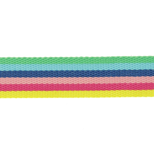 Tassenband 30mm Regenboog Groen/Geel