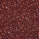 Viscose Short Stripes Wine (Pommé TAMAR)