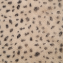 Namaakbont Cheeta Beige