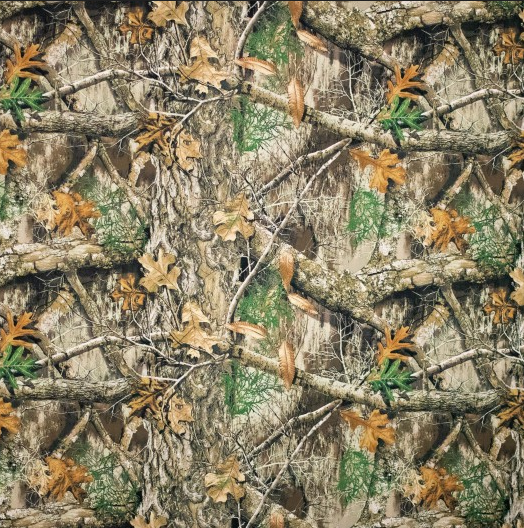 Softshell Print Nature
