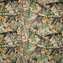 Softshell Print Nature