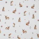 Jersey Digital Rabbits White