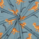 Jersey Melange Dino's Dusty Petrol