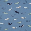 Jersey Whales Blue