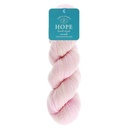 Simy's Hope SOCK 100g - 10 The early bird catches the worm