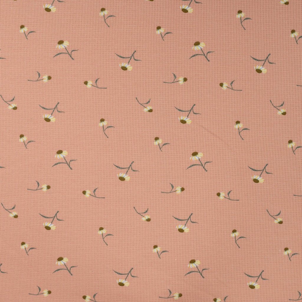 Jersey Cutie Waffle Daisy Salmon