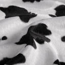 Velboa Cow Black/White