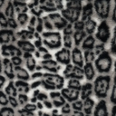 Cavalio Animal Fur Grey