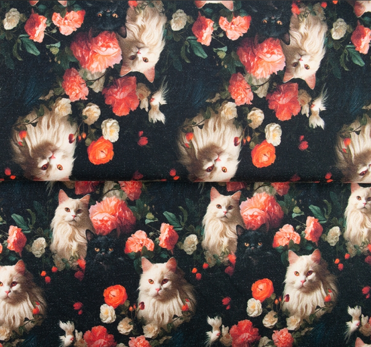 French Terry digital Kitty Models
